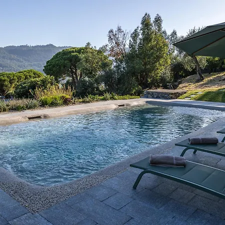 La Casa Gialla Relax In Collina Con Piscina *